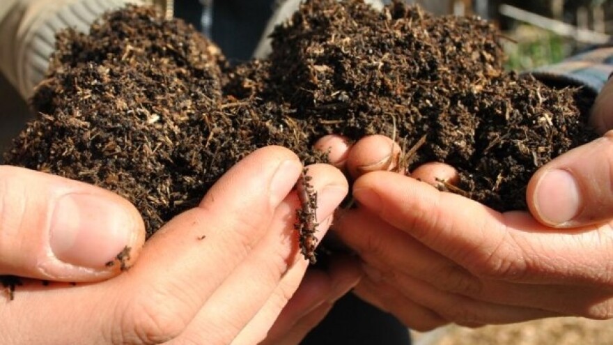 Sudjelujte u akciji: Zemlja je zlato!