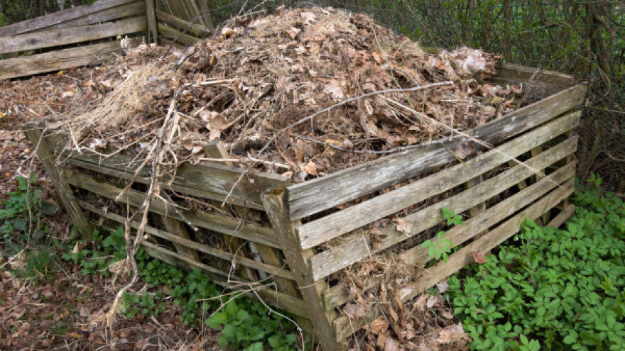 Kako i zašto kompostirati opalo lišće?