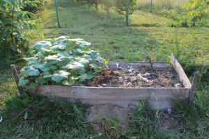 Kako da smanjite zagađivanje zemljišta?
