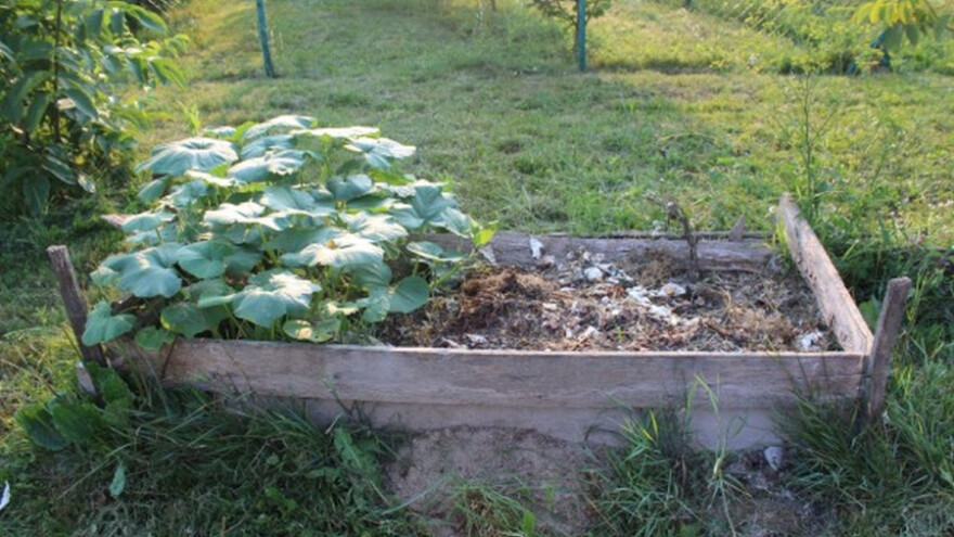 Kako da smanjite zagađivanje zemljišta?