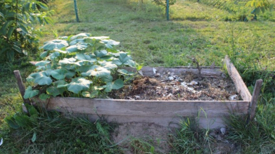 Četiri rješenja za zagađeno zemljište