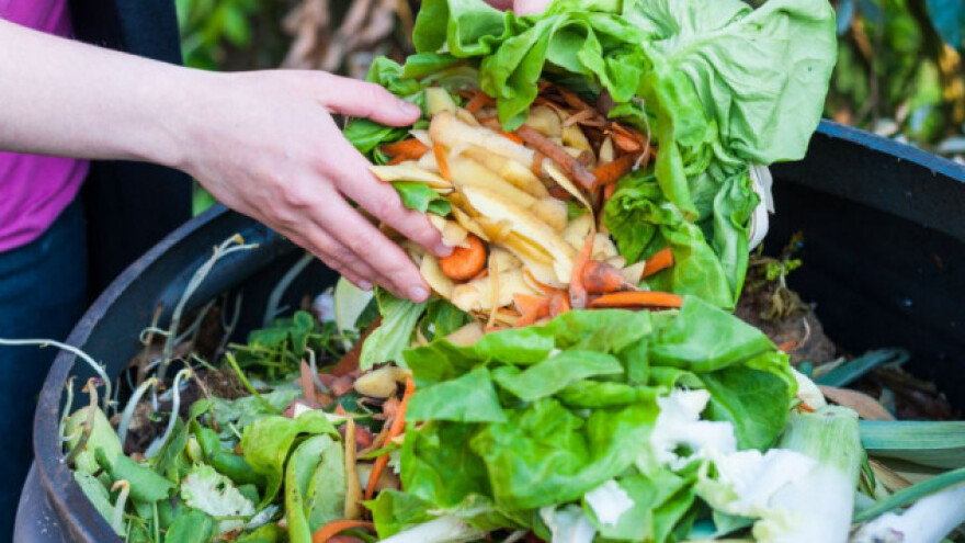 Đubrivo, zaštita za biljke i biostimulator