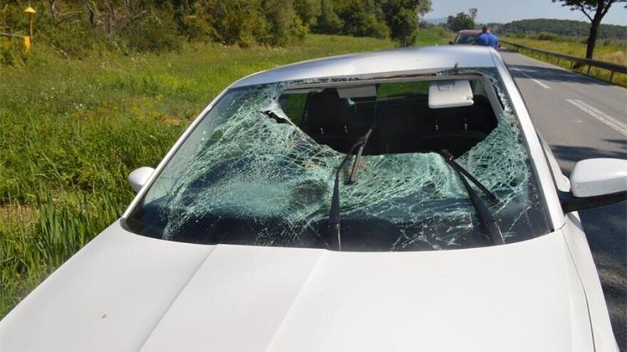 Nesvakidašnja nesreća: Srndać završio u automobilu, vozač lakše ozlijeđen