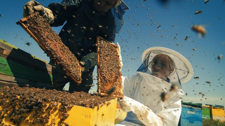 U Tuzli održan prvi Kongres o pčelarstvu!