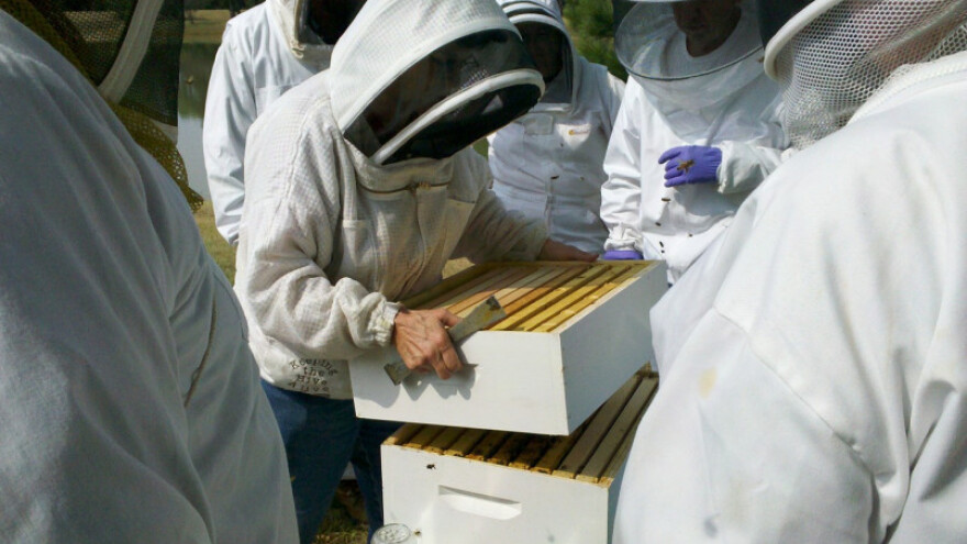 Sastaju se pčelari od Vardara pa do Triglava