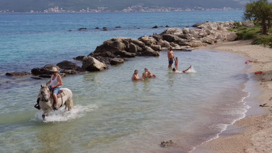 Ante Vuletin pojasnio zašto je vezao konja za auto: Volim Sokola i nisam ga mučio