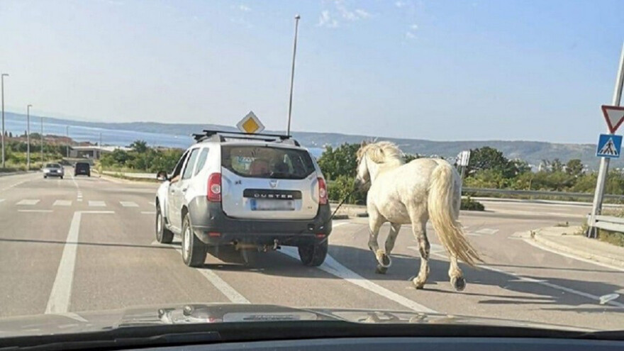 Ima i toga: Zavezao konja za auto i vozio po cesti!