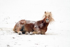 Izgledi za Hrvatsku za 30.01.2015-01.02.2015