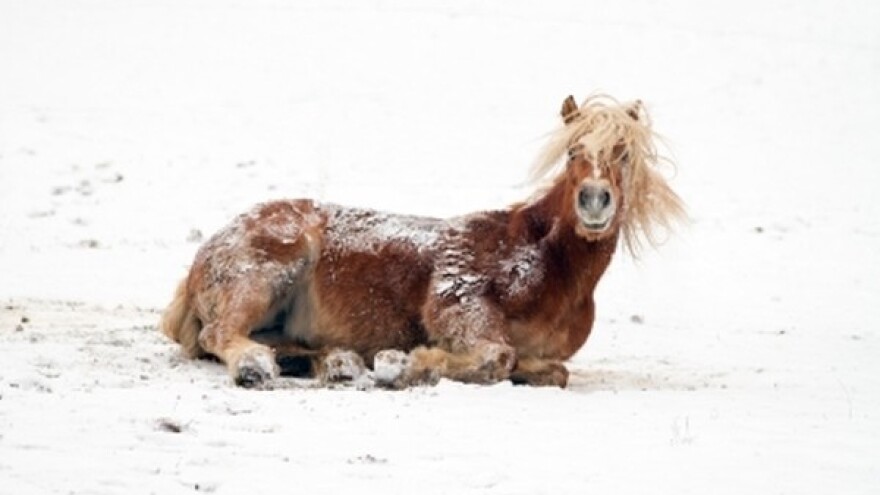 Izgledi za Hrvatsku za 30.01.2015-01.02.2015