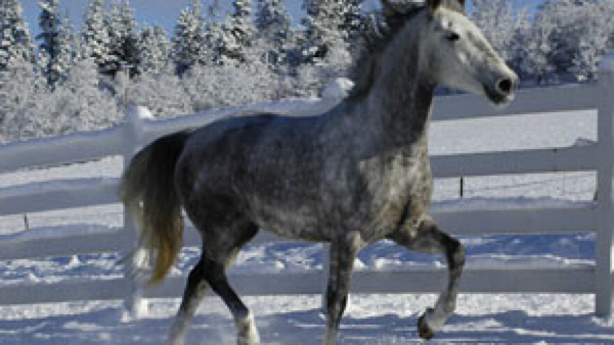 Vinković: Nova je vlada potvrdila zločin prošle