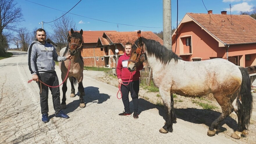 Imati konja - porodična tradicija i ljubav koja (ne) košta