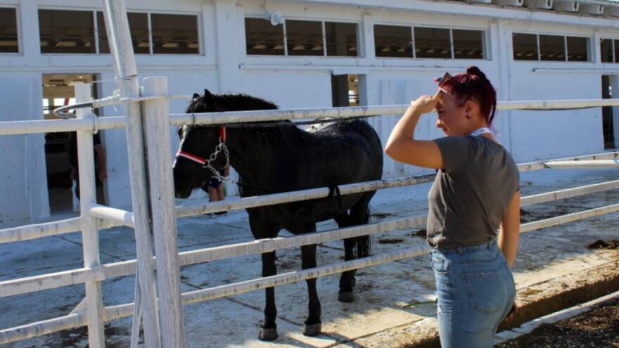 Prijavite se za jubilarno 10. savjetovanje uzgajivača konja u Hrvatskoj