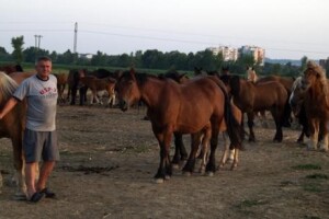 Uskoro isplata potpora vlasnicima konja