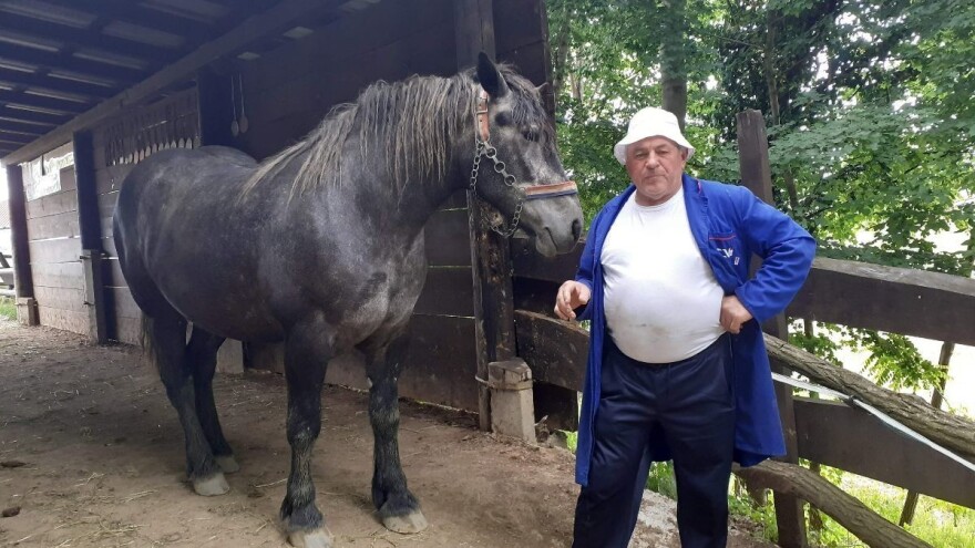 Hrvatski hladnokrvnjaci Petra Jadeka, tradicija i ljubav duža od 40 godina