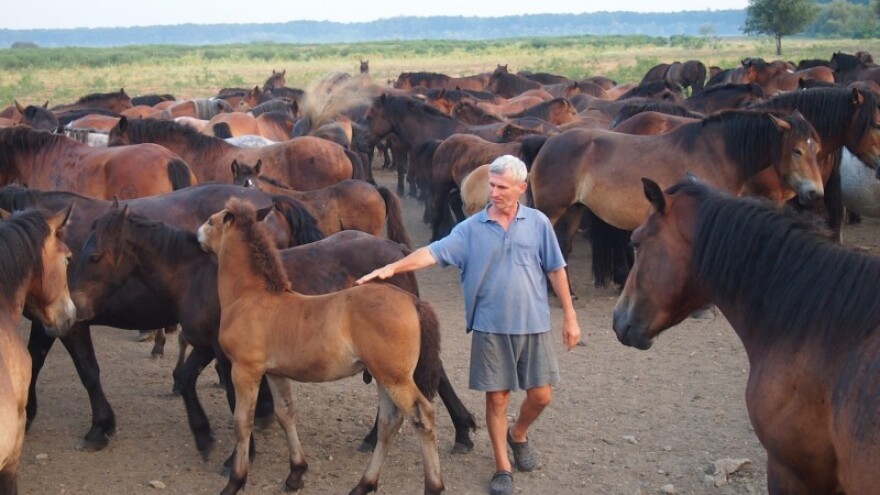 Tko se brine za hrvatskog hladnokrvnjaka?