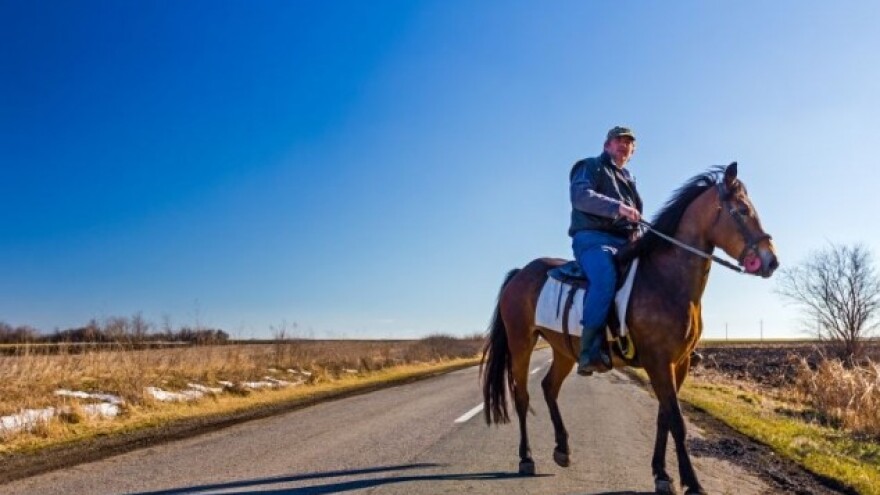 Policija otkrila vlasnika nečipiranog konja