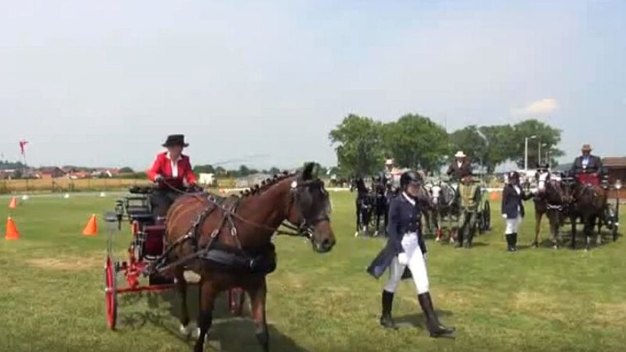 Održan Međunarodni konjički turnir u Pleternici