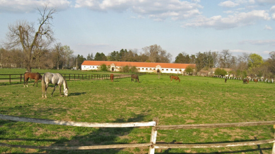 Krpeljski encefalitis prvi put u Srbiji!