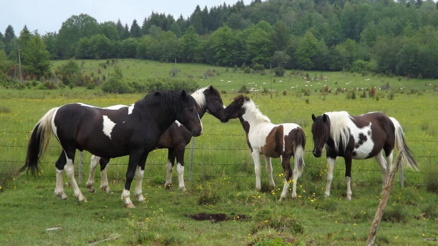 Do 30.000 KM za finansiranje projekata u oblasti turizma i ugostiteljstva