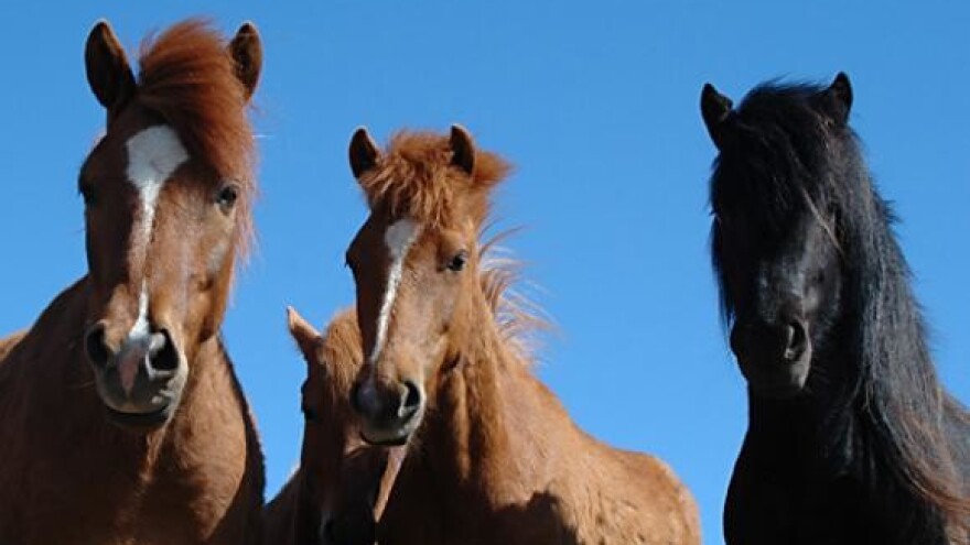 O međimurcu brinu četiri države