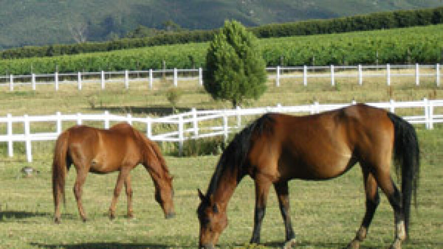 Dovršetak suvremene jahaonice ergele Đakovo