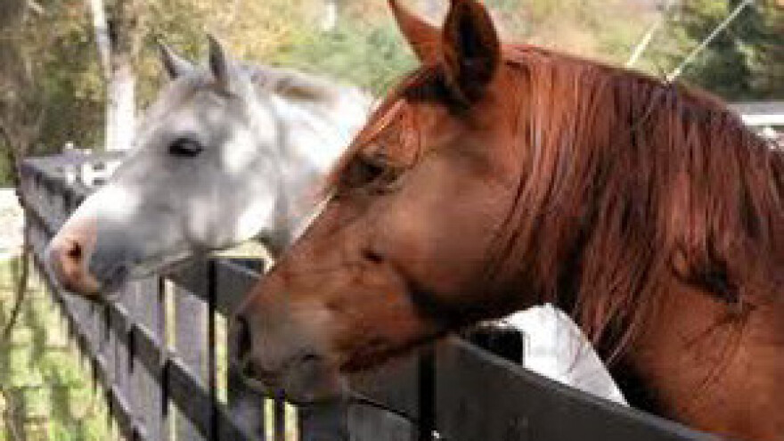 U stogodišnjoj kući želi urediti četiri šokačka apartmana
