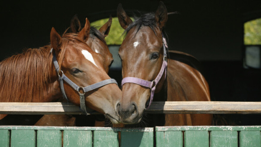 Topot konjskih kopita danas se retko čuje