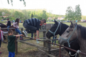 Unatoč opadanju broja konja, ocijenjeni Posavci
