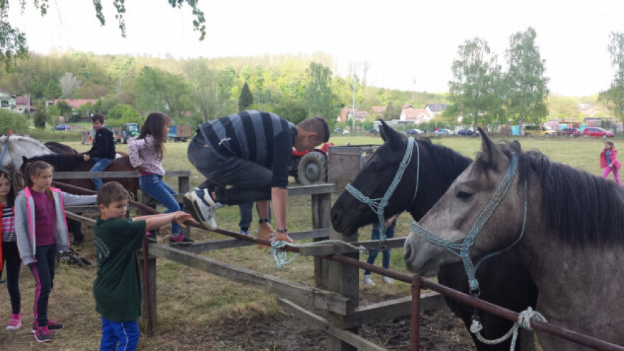 Unatoč opadanju broja konja, ocijenjeni Posavci