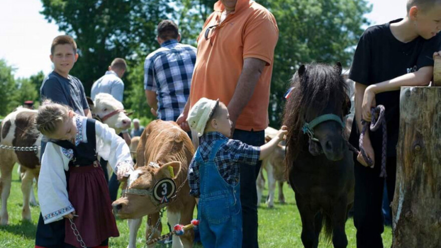 Hrvatski hladnokrvnjak - tradicijska vrijednost Europe