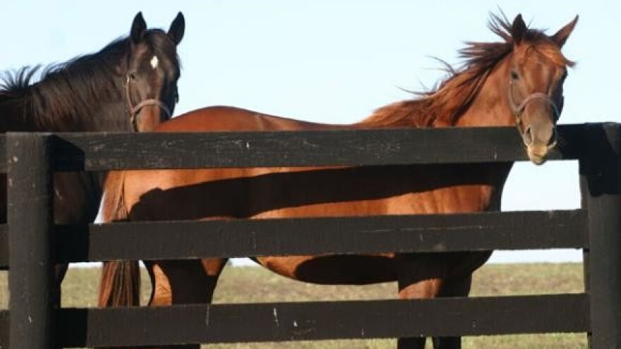 Ergela Lipik: Tekst ugovora vraćan 13 puta