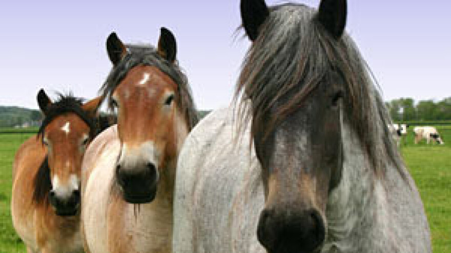 Program terapijskog jahanja