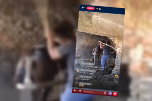 Užasna snimka brutalnog premlaćivanja konja širi se internetom, alarmirana policija