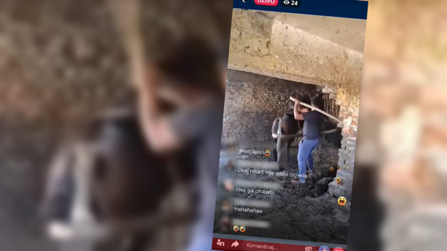 Užasna snimka brutalnog premlaćivanja konja širi se internetom, alarmirana policija