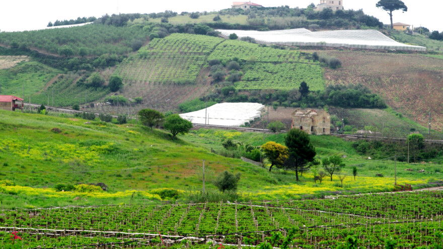 Otkrivena kriminalna grupa i prevare s poljoprivrednim fondovima