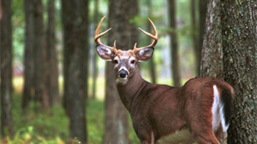 Lovci popunili sve kapacitete