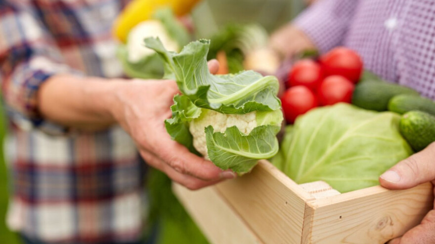 Pooštrene kontrole na GMO u hrani