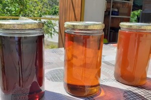 Inspektorat: Trećina kontroliranog meda na domaćem tržištu nije ispravna