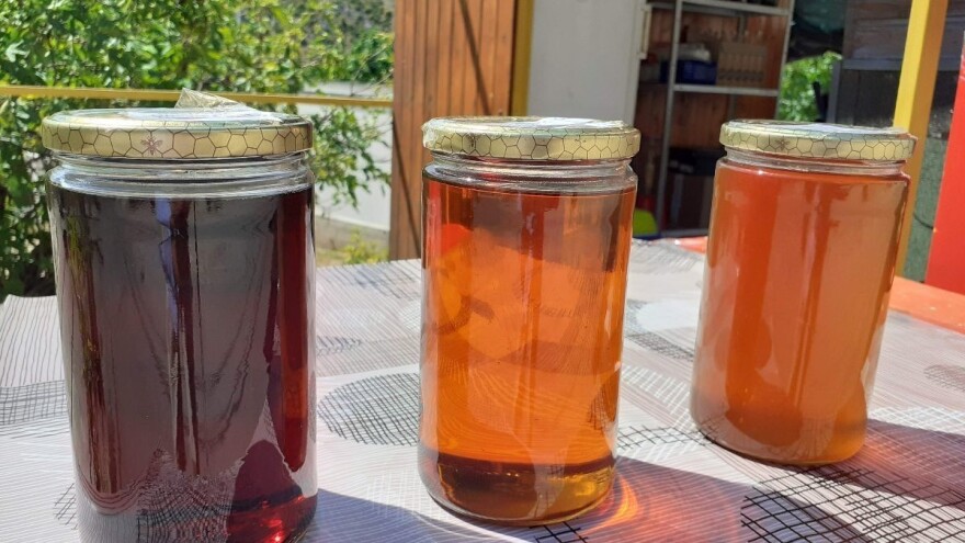 Inspektorat: Trećina kontroliranog meda na domaćem tržištu nije ispravna