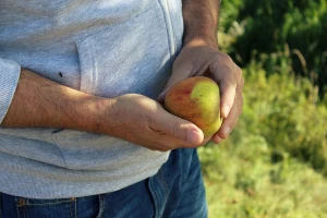 Važnost EFSA izvješća o kvaliteti hrane