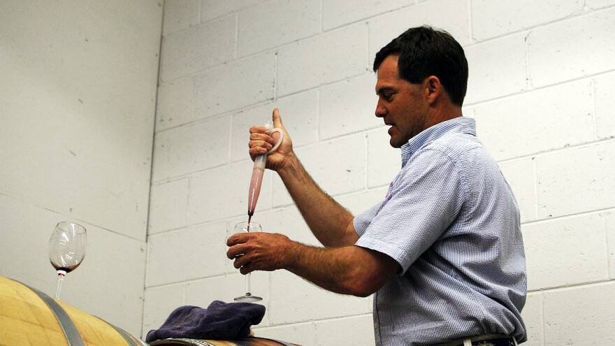 Kako se boriti protiv bolesti koje napadaju vino?