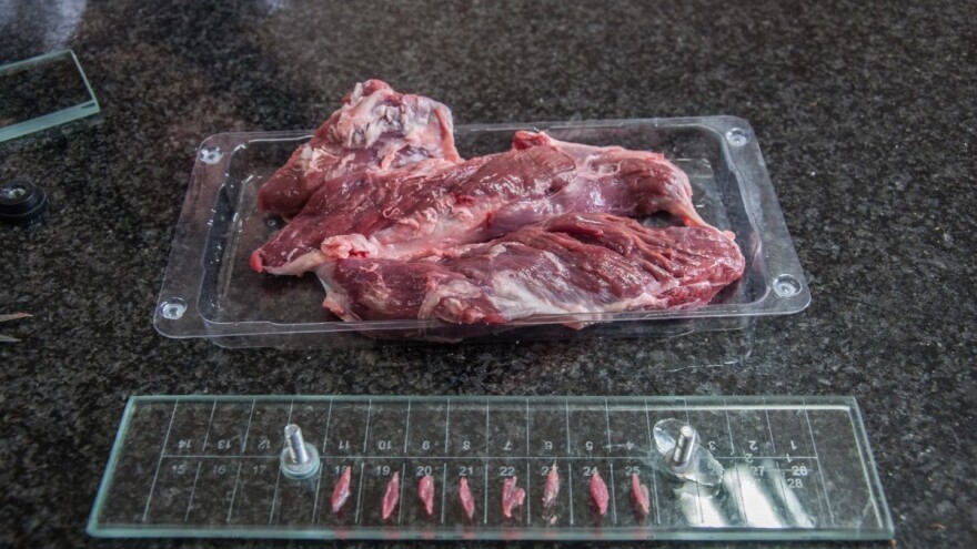 Pregled mesa na trihinelozu obaveza, posledice dugotrajne