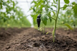 Kontrolirana dozacija hraniva