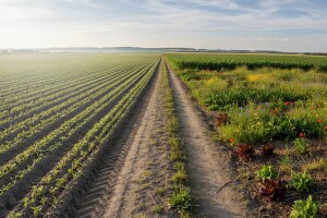 Konvencionalna poljoprivreda vodi nas u propast?