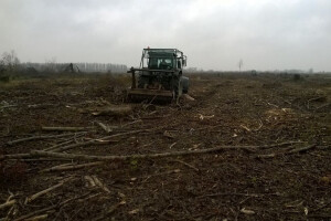 Započele konverzije šuma iz Programa ruralnog razvoja