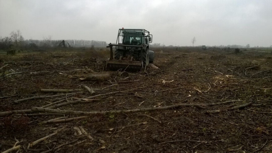 Započele konverzije šuma iz Programa ruralnog razvoja