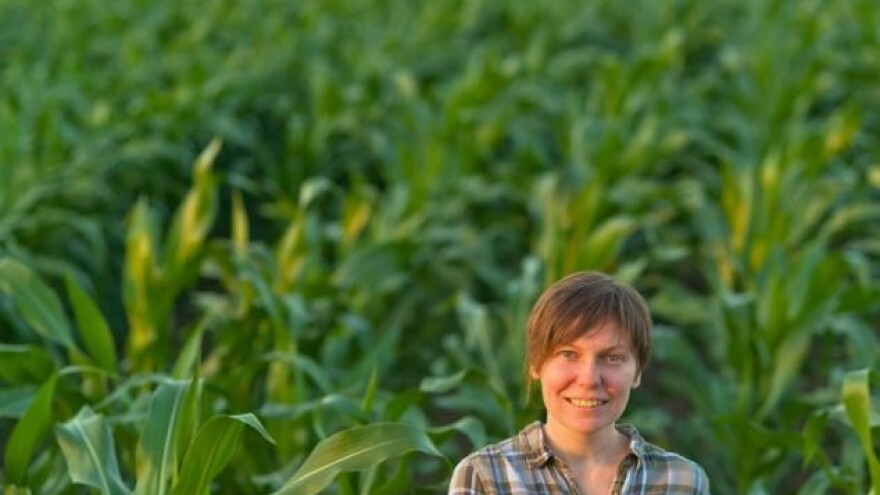 Navodnjavanje i konzervacijska obrada tla iz Belja