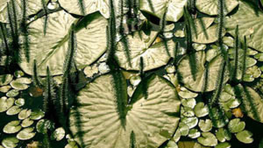 Razvoj baranjskog turizma