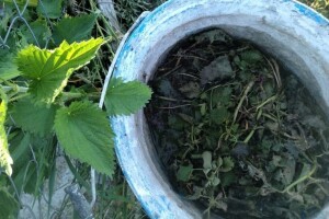 Koja prirodna đubriva možete primjeniti na povrću?