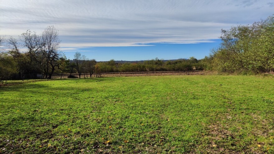 Promenljivo vreme do sredine meseca: Strna žita su na udaru biljnih štetočina